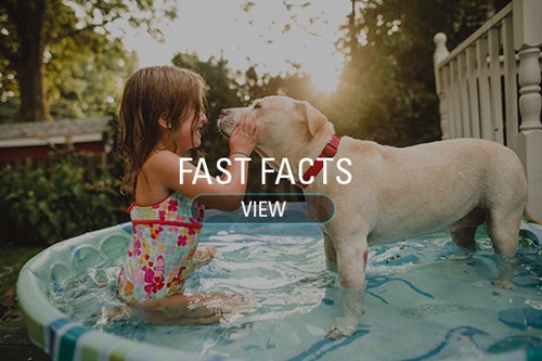 Movida Estate Fast Facts